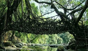 Ngôi làng sạch nhất châu Á có gì đặc biệt?