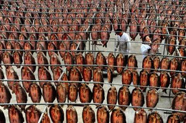 Ngành thực phẩm Trung Quốc 'xoay sở' thế nào để phục vụ 1,4 tỷ dân?