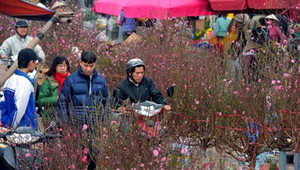 Miền Bắc rét đậm, rét hại đến đầu năm mới