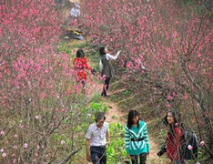 Hà Nội rét đậm, trời hửng nắng hanh