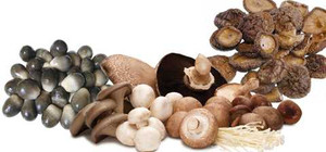 Tư vấn tích trữ đồ khô ngày Tết