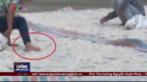 Rùng mình với công nghệ làm mứt Tết ở Hà Nội