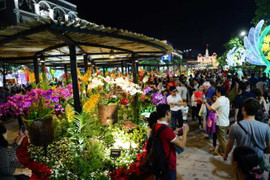 Ngàn người chen chân thưởng ngoạn đường hoa Nguyễn Huệ 2016