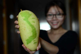 Dâng cúng tổ tiên trái cây hình thù lạ