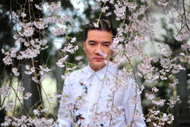 Mr Đàm da diết 'tâm sự nàng xuân'