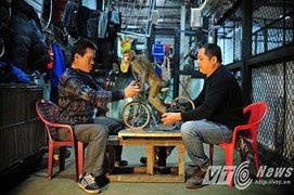 Năm Thân, khám phá một ngày của những chú khỉ trong rạp xiếc