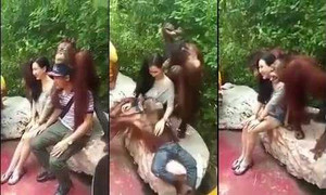 Cười bể bụng clip khỉ ‘diễn sâu’, tạo dáng chụp ảnh cực chuyên nghiệp