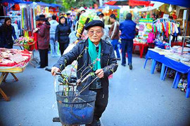 Hướng xuất hành đầu năm Bính Thân 2016 cho người tuổi Tỵ