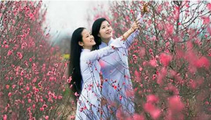 Thời tiết những ngày Tết Bính Thân ra sao?