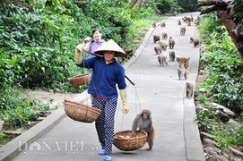 Nơi 'Tề thiên đại thánh' hiến thân cho khoa học
