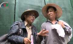 Phim hài Tết 2016: Thông gia đón Tết