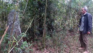 Thanh Hóa phát hiện mộ cổ trong vườn nhà dân