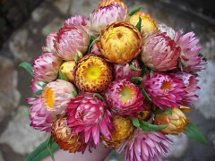 300.000 đồng nên mua hoa gì tặng người yêu ngày Valentine?