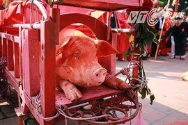 Làng Ném Thượng chém kín “ông ỉn” vì sợ phản cảm