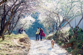 Thời tiết thế nào ngày Valentine?