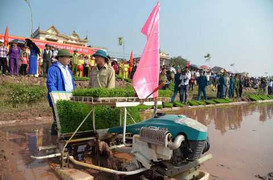 Bí thư, Chủ tịch Hà Nội xuống đồng đi cấy