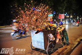 Hoa tiền triệu trước Tết làm khổ nhiều người sau Tết