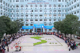 Học sinh Hà Thành xếp hình bản đồ Việt Nam bằng hơn 10.000 chậu mạ non