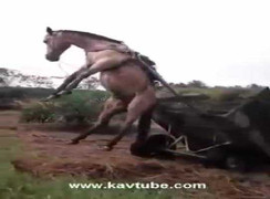 Những video hot nhất trên Facebook ngày 17/2