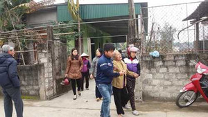 Đang cày ruộng, trâu nổi điên húc chủ chết thảm