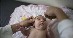 Lo ngại vi rút Zika vào Việt Nam, Phó Thủ tướng Vũ Đức Đam chỉ đạo khẩn