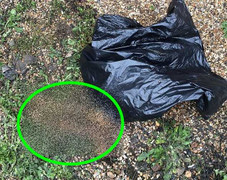 Tá hỏa phát hiện bộ xương người trên trần nhà