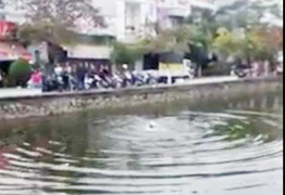 Nam thanh niên chết thảm vì bị nhầm là 'ngáo đá'