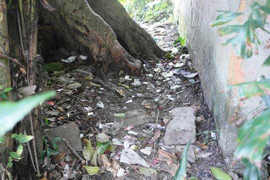 Phản cảm bao cao su nằm la liệt sau đình làng