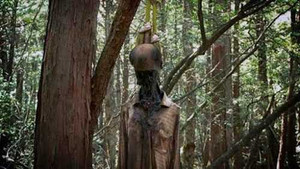 Bí ẩn khu rừng ‘tự sát’ rùng rợn của Nhật Bản