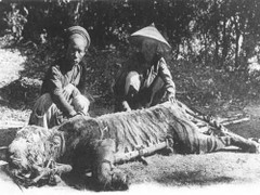 Chuyện về hai võ sư dùng côn đánh chết 3 con cọp ở Bình Dương