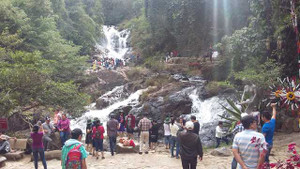 3 du khách tử nạn ở thác Datanla: Lời kể của hướng dẫn viên đi cùng