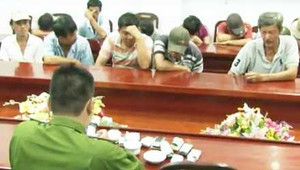 15 con bạc say sưa sát phạt nhau giữa vườn cây