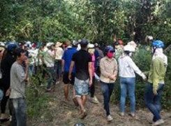 Trèo cây hái lá, cụ ông trượt chân té tử vong tại chỗ