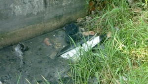 Hãi hùng thi thể chết trong tư thế điều khiển xe máy