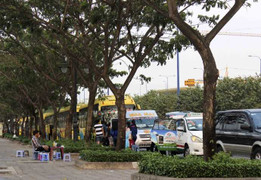 Hàng loạt xe khách đại náo sau lệnh cấm của Bí thư Thăng