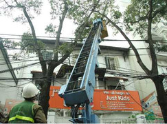 Hà Nội đầu tư hàng tỷ đồng nhập máy móc hiện đại cắt tỉa cây xanh