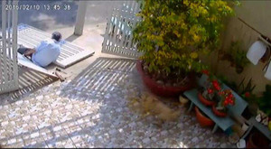 Clip: Trộm cưa khóa bị cổng đổ sập, đè gãy chân