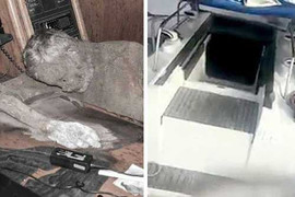 Kinh hoàng khoảnh khắc tìm thấy thi thể thủy thủ trên 'du thuyền ma' mất tích bí ẩn