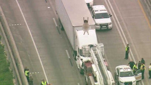 Clip: Phụ nữ khỏa thân, nhảy trên nóc xe tải, cảnh sát đóng cửa cao tốc