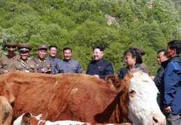Nhà lãnh đạo Kim Jong Un lấy gì để nuôi sống Triều Tiên?