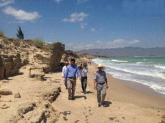 33 con cua đinh, trâu thất nghiệp hay kho báu 'tin đồn' ở Bình Thuận