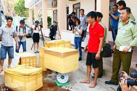 Rùng mình gần 1 tấn thịt thối theo xe tải chuẩn bị lên bàn nhậu