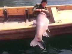 Những video hot nhất trên Facebook ngày 9/3