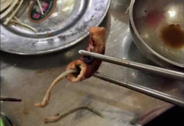 Hãi hùng sinh vật lạ dài ngoằng trong lòng lợn ở quán nướng