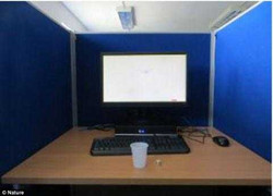 Nghiên cứu Mỹ cho thấy người Việt Nam 'đội sổ' thế giới về độ trung thực