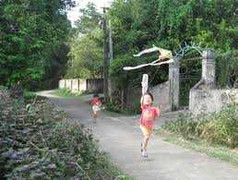 Tung tin thất thiệt bắt cóc trẻ em lấy nội tạng, bị phạt 12,5 triệu