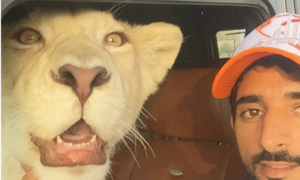 Cuộc sống 'đốt tiền' của con nhà giàu xứ Dubai