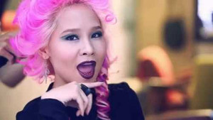 Những người nổi tiếng ứng cử đại biểu Quốc hội khoá XIV