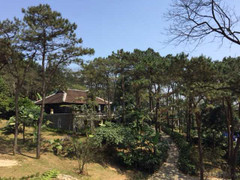 Những dự án 'đẹp như mơ' bị phát giác sai phạm