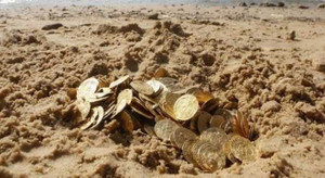 Những bí mật về kho vàng 4.000 tấn ở Bình Thuận